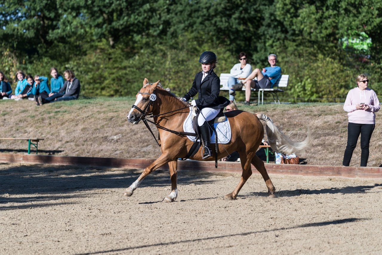 Bild 123 - Pony Akademie Turnier